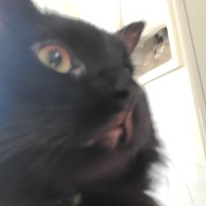 Meet your Posher, Hailey